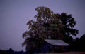 barnoak latelight rural Vintage A4 Photo Print