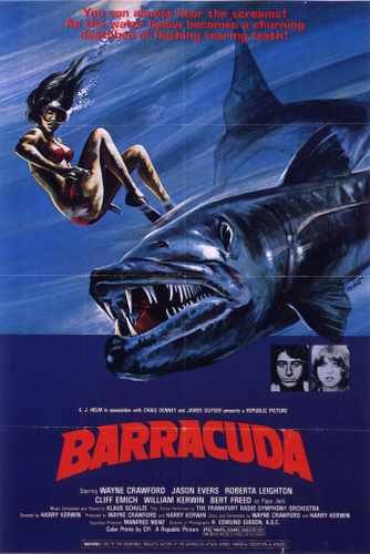 barracuda 01 film star poster A4 Photo Print