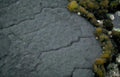 basalt rock seaweed Vintage A4 Photo Print