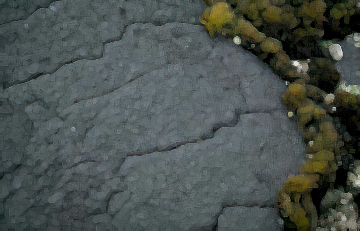 basalt rock seaweed Vintage A4 Photo Print