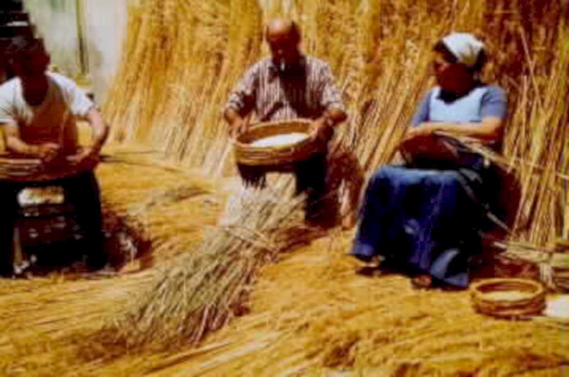 basket weaving straw1980s 1990s A4 Photo Print