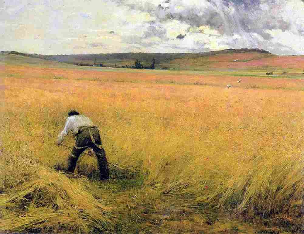 bast The Ripened Wheat Art A4 Photo Print