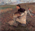 bast october gathering potatoes Art A4 Photo Print