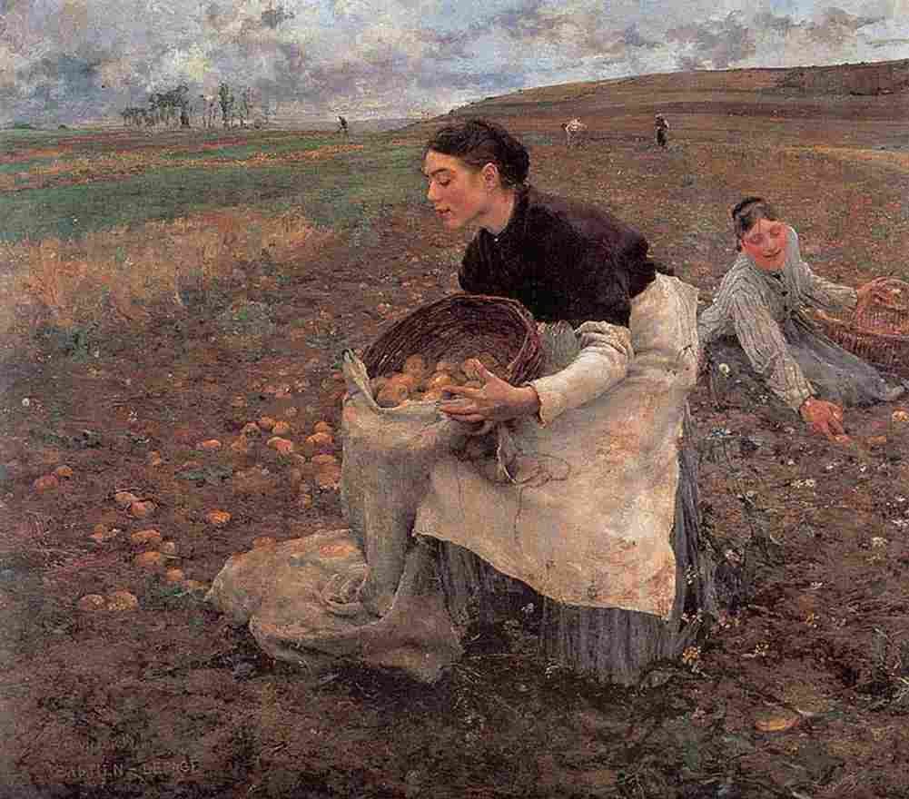 bast october gathering potatoes Art A4 Photo Print