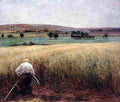 bast ripened wheat Art A4 Photo Print