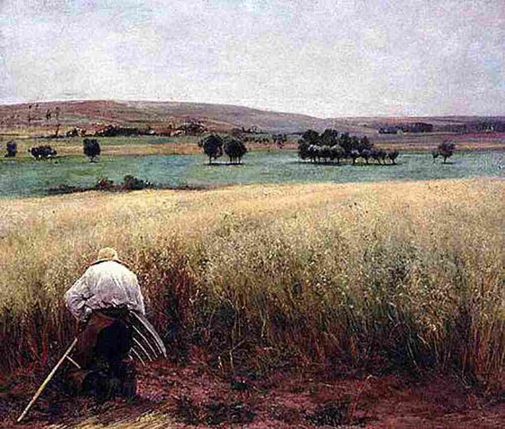 bast ripened wheat Art A4 Photo Print