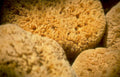 bath sponges pile Vintage A4 Photo Print