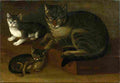 baumann j h cats Art A4 Photo Print