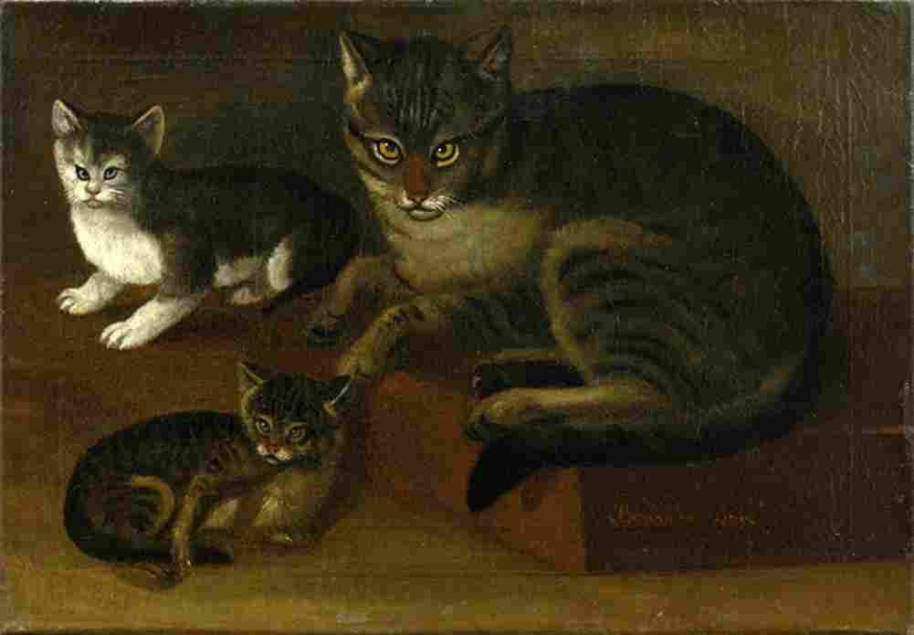 baumann j h cats Art A4 Photo Print