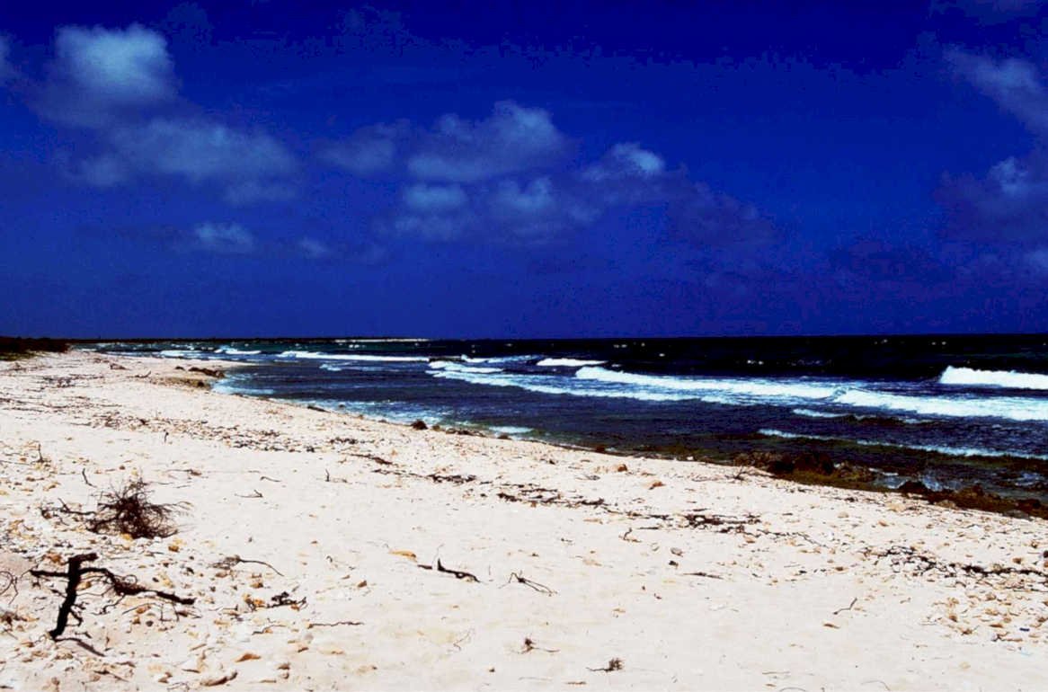 beach coast driftwood1980s 1990s A4 Photo Print