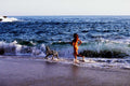 beach day dalmatian1980s 1990s A4 Photo Print 42