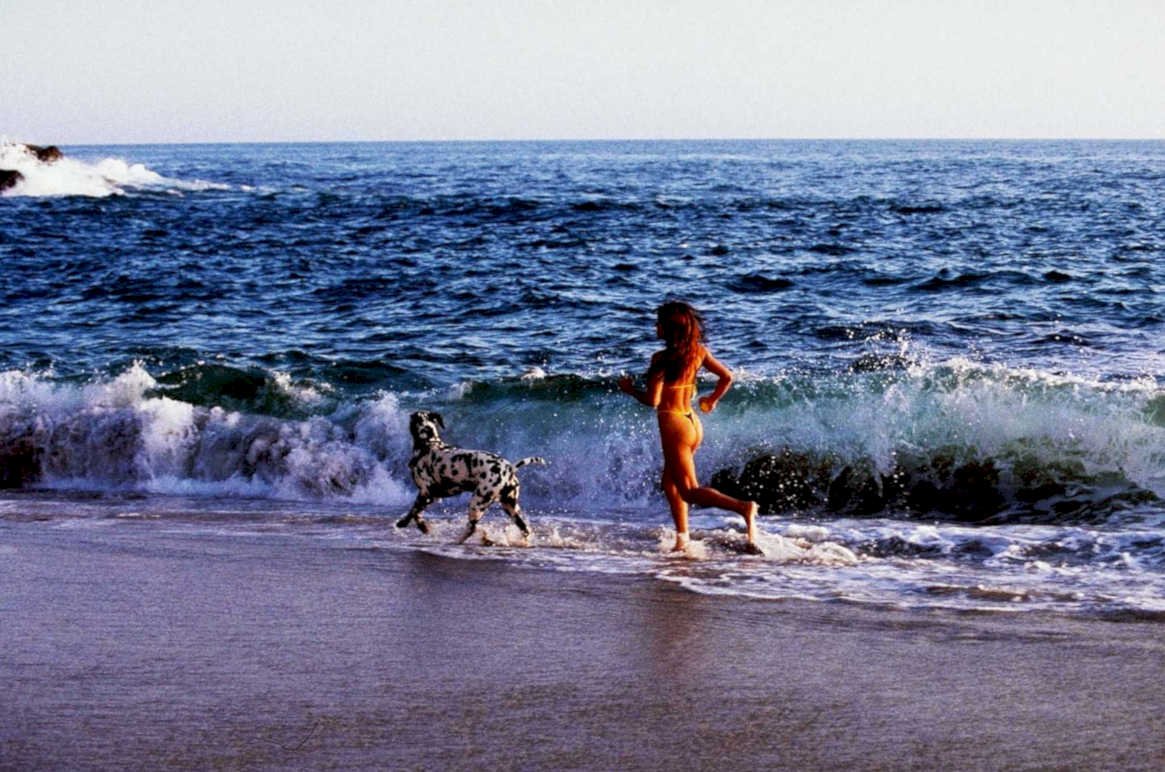 beach day dalmatian1980s 1990s A4 Photo Print 42