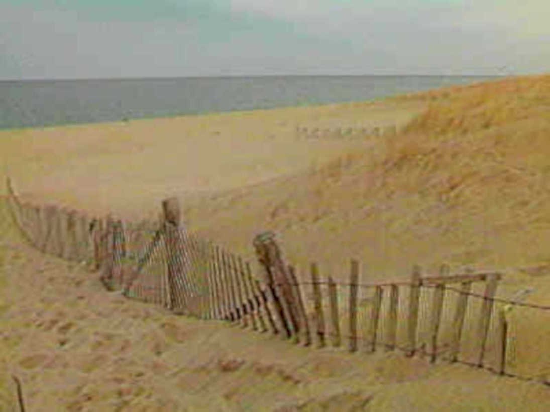 beach fence cape1980s 1990s A4 Photo Print