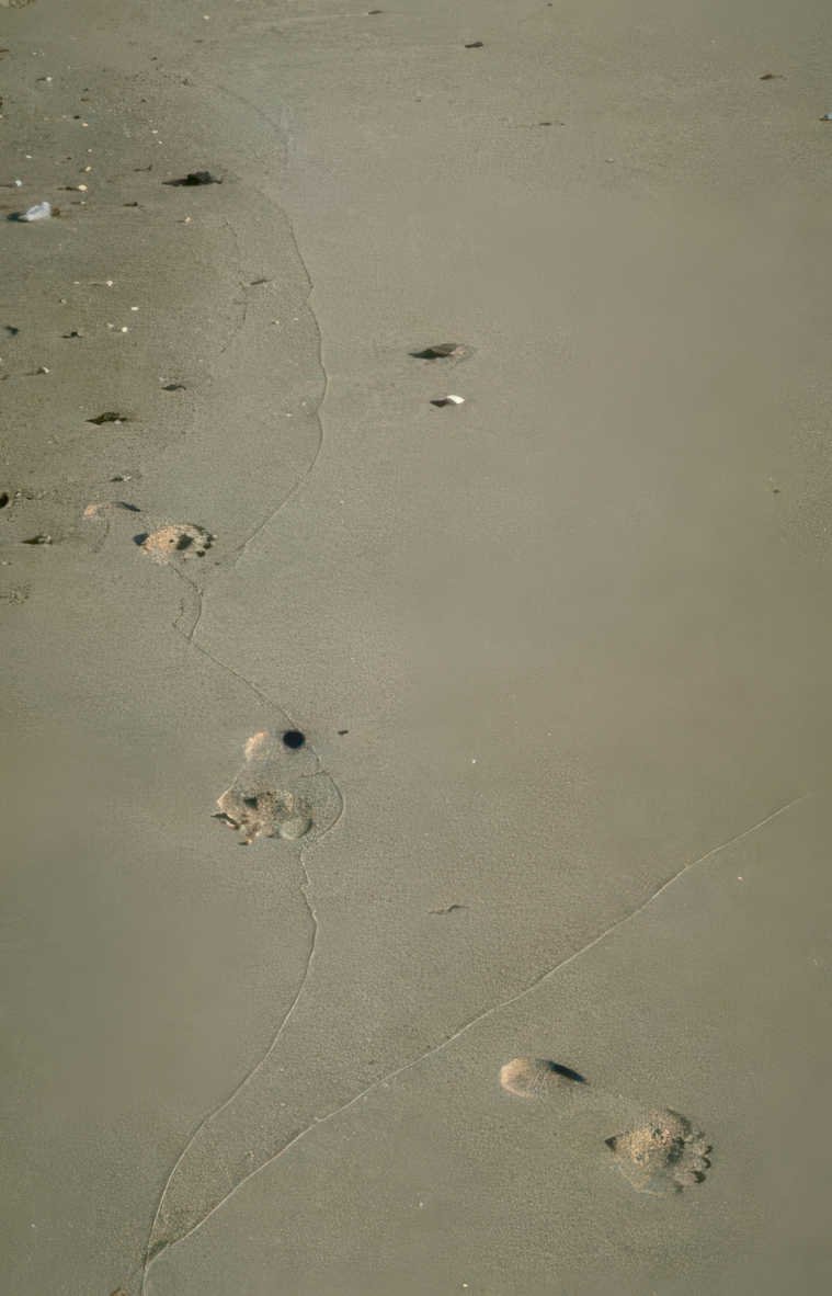 beach footprints sand Vintage A4 Photo Print