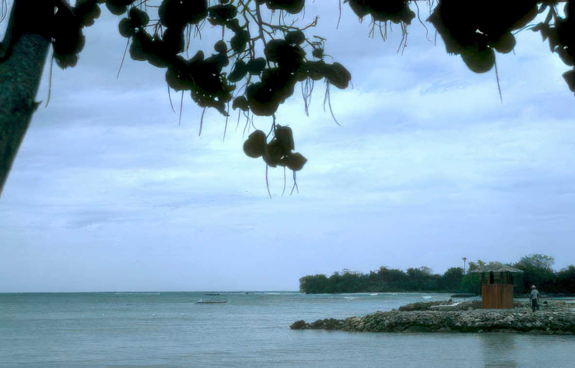 beach fruit tower GIGA 2