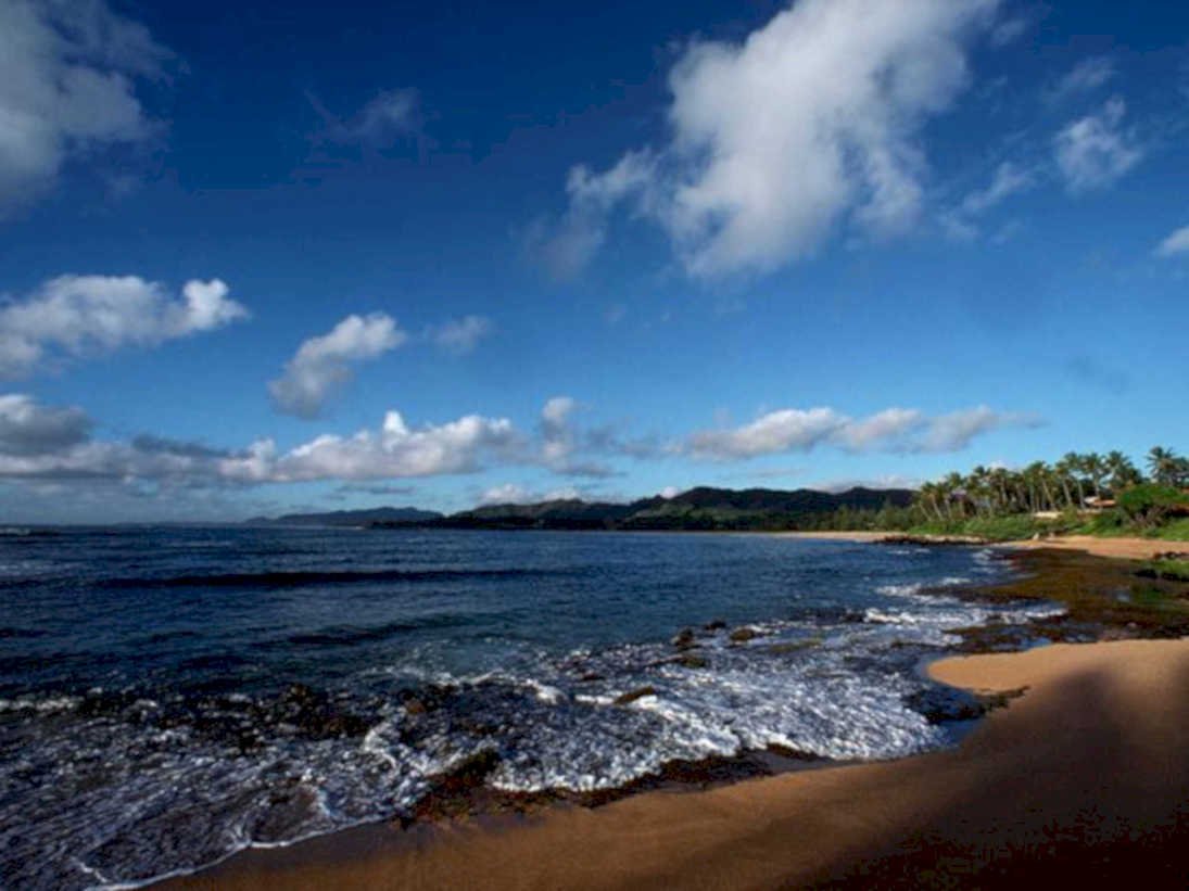 beach landscape maui1980s 1990s A4 Photo Print