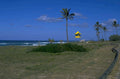 beach lifeguard tower 1980s 1990s A4 Photo Print 42