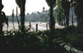 beach long boardwalk Vintage A4 Photo Print
