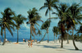 beach palm people Vintage A4 Photo Print