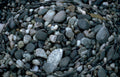 beach pebbles circle Vintage A4 Photo Print