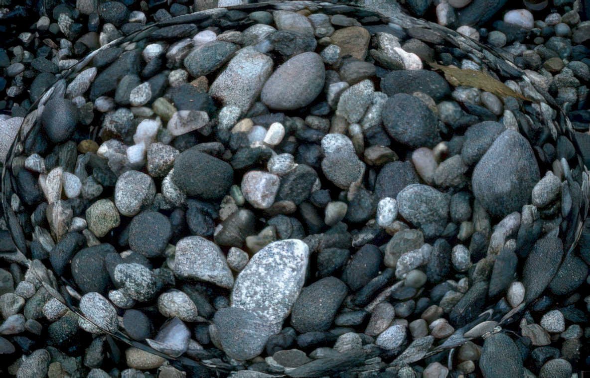 beach pebbles circle Vintage A4 Photo Print