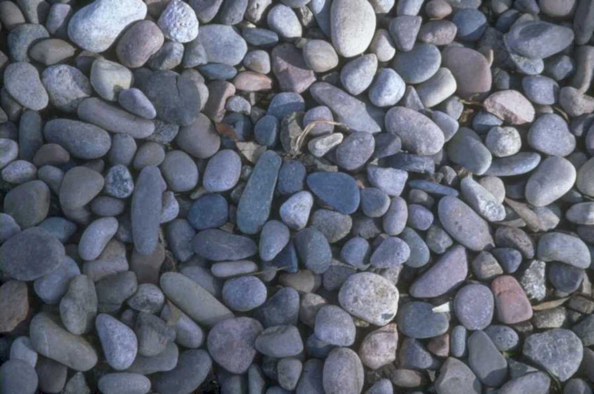 beach pebbles purple 1980s 1990s A4 Photo Print