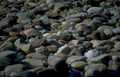 beach pebbles rocks 1 Vintage A4 Photo Print