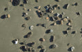 beach pebbles rocks 2 Vintage A4 Photo Print