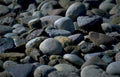 beach pebbles stones Vintage A4 Photo Print