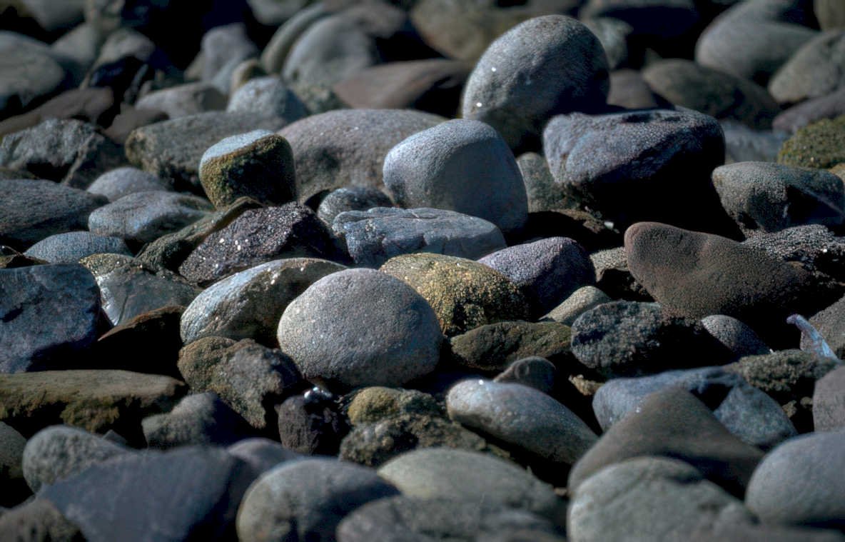 beach pebbles stones Vintage A4 Photo Print