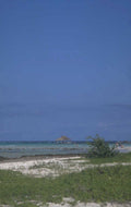beach pier island 1980s 1990s A4 Photo Print