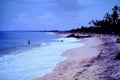beach punta cana1980s 1990s A4 Photo Print