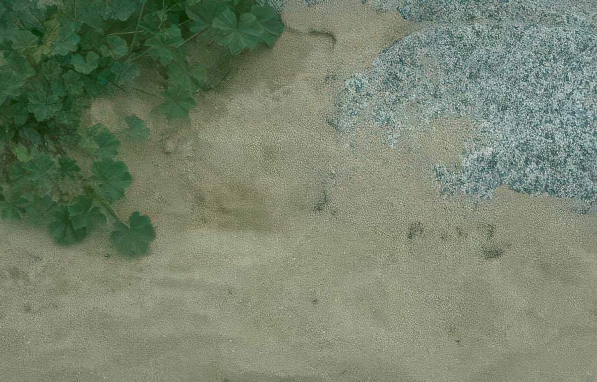 beach sand rocks Vintage A4 Photo Print