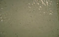 beach sand texture Vintage A4 Photo Print