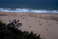 beach scene california1980s 1990s A4 Photo Print 42