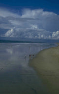 beach scene lowtide 1980s 1990s A4 Photo Print