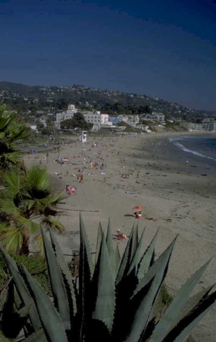 beach scene pacific 1980s 1990s A4 Photo Print