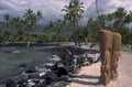 beach sculpture hawaii 1980s 1990s A4 Photo Print