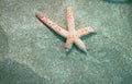 beach starfish sand Vintage A4 Photo Print