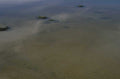 beach tidal pools 1980s 1990s A4 Photo Print