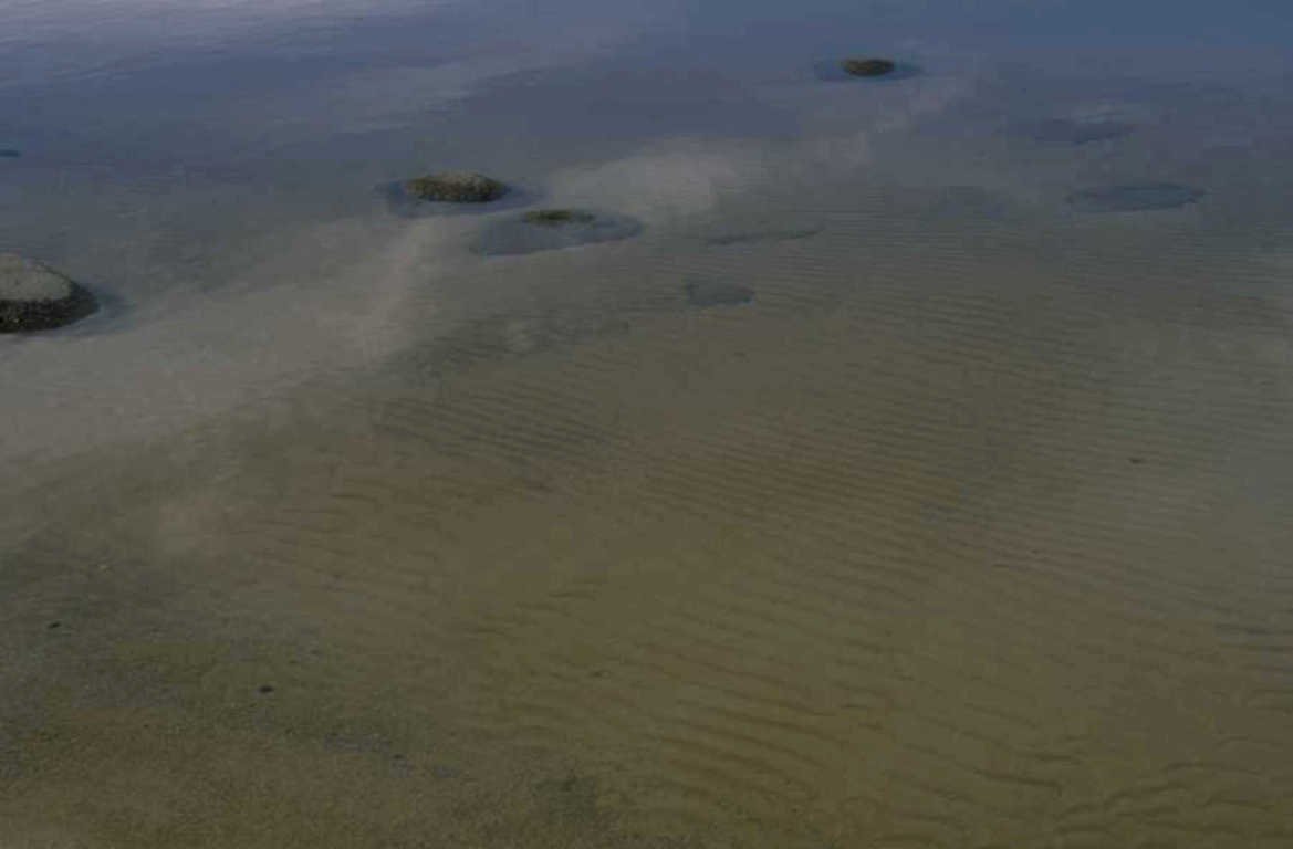 beach tidal pools 1980s 1990s A4 Photo Print