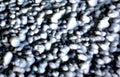 beachgravel macro coastal Vintage A4 Photo Print