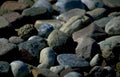 beachrocks greybrownblue coastal Vintage A4 Photo Print