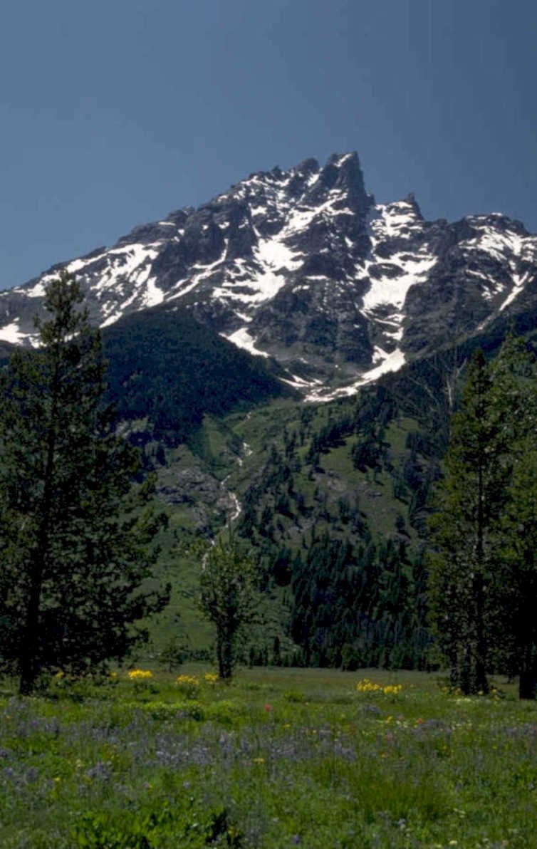 beartooth mountain meadow 1980s 1990s A4 Photo Print
