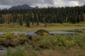 beaver dam landscape 1980s 1990s A4 Photo Print