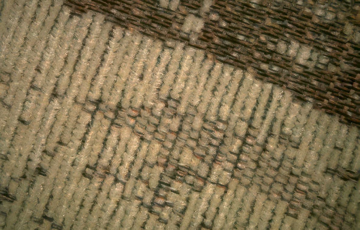 beige diamond weave Vintage A4 Photo Print