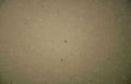 beige linen texture Vintage A4 Photo Print