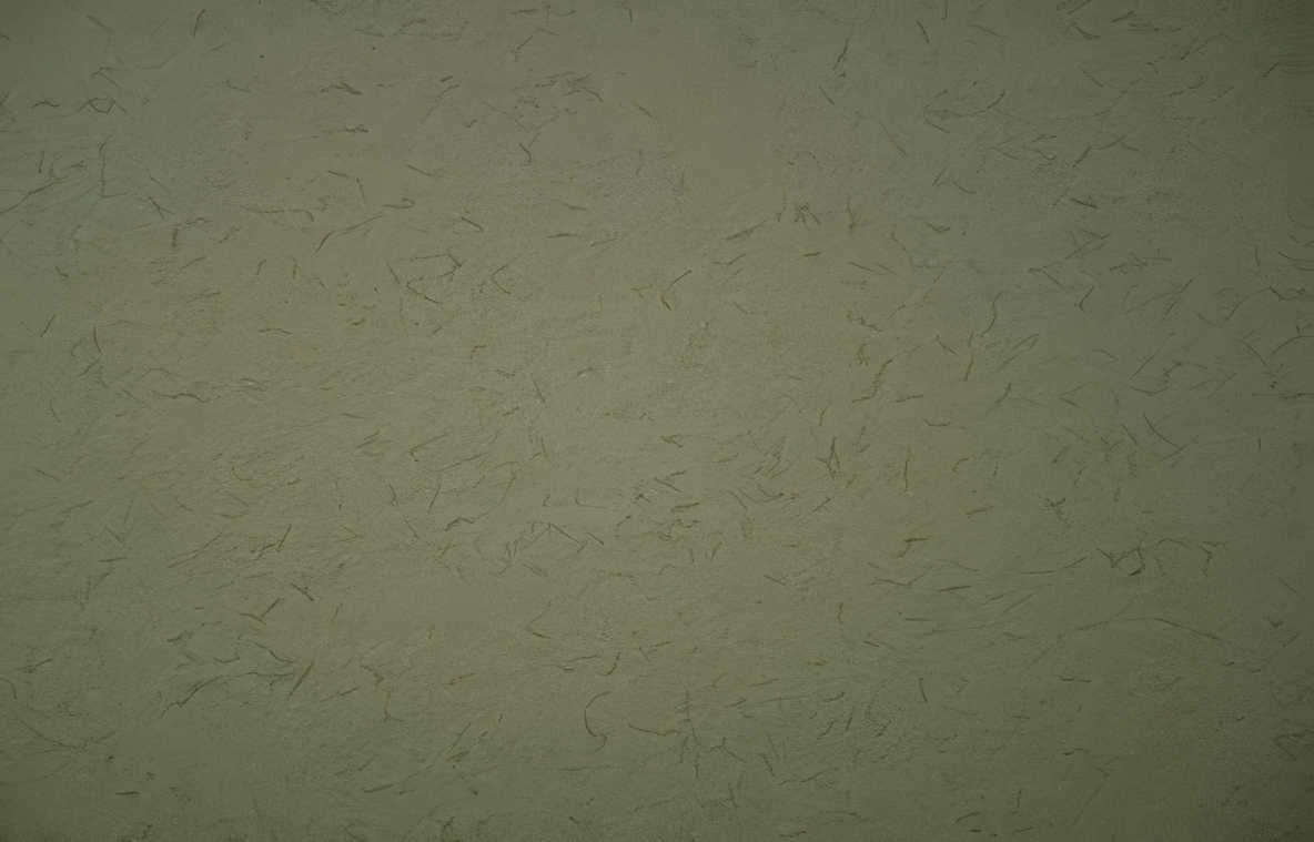 beige olive texture Vintage A4 Photo Print