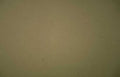 beige paper texture Vintage A4 Photo Print