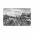 belarus pinsk forest fritz w egger Vintage A4 Photo Print